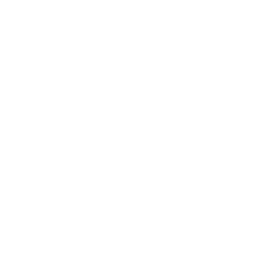 HP speak icon