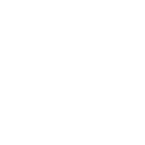 HP Touch icon
