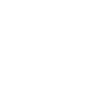 HP type icon