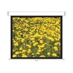 Optoma Panoview DS3120PMG Manual Pull Down Projection Screen 120"