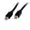 StarTech.com 1m Mini DisplayPort 1.2 Cable M/M - Mini DisplayPort 4k