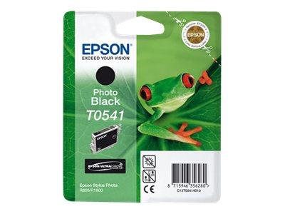 Epson T0541 - Print cartridge - 1 x pigmented photo black