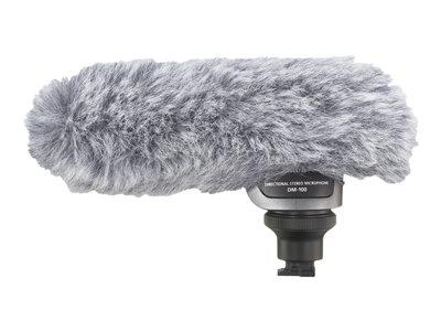 Canon DM 100 - microphone