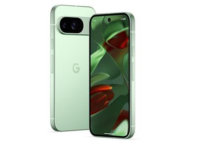 Google Pixel 9 - 256GB Wintergreen