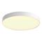 Philips Enrave XL Hue ceiling lamp white