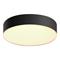 Philips Hue Enrave Small Ceiling Lamp - Black