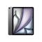 Apple 13-inch iPad Air Wi-Fi + Cellular 256GB - Space Grey