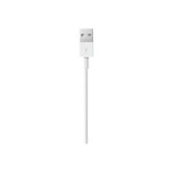 Apple Lightning to USB Cable (1m)