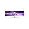 Philips Evnia 8000 49" QD OLED Gaming Monitor