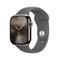 Apple Watch Series 10 GPS + Cellular 46mm Natural Titanium Case with Stone Grey Sport Band - M/L