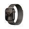 Apple Watch Series 10 GPS + Cellular 42mm Slate Titanium Case with Slate Milanese Loop